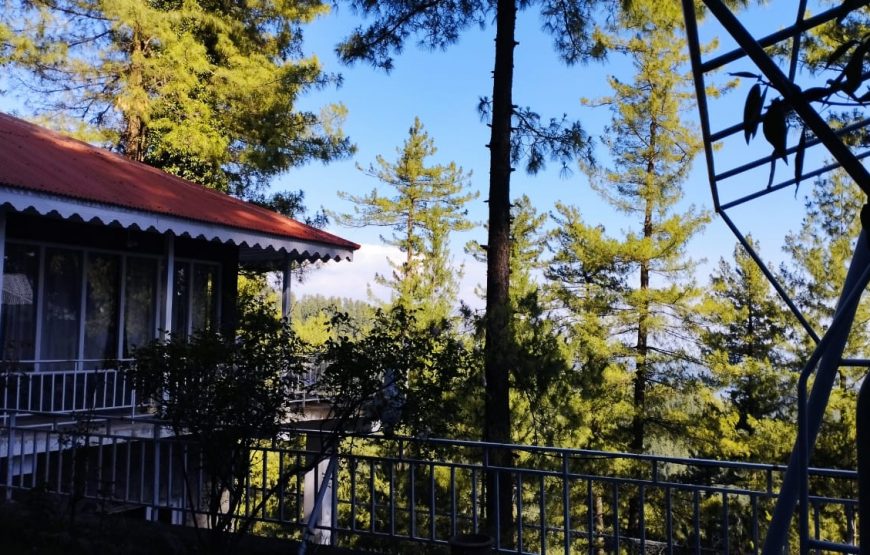Pine Tree Resort