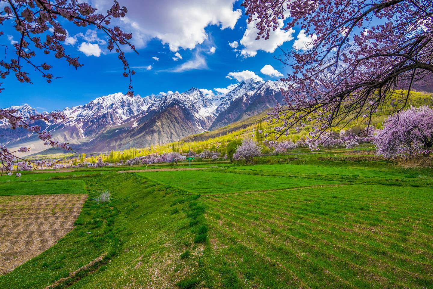 “Chunda Valley” Discover A Hidden Gem Of Skardu, Gilgit Baltistan