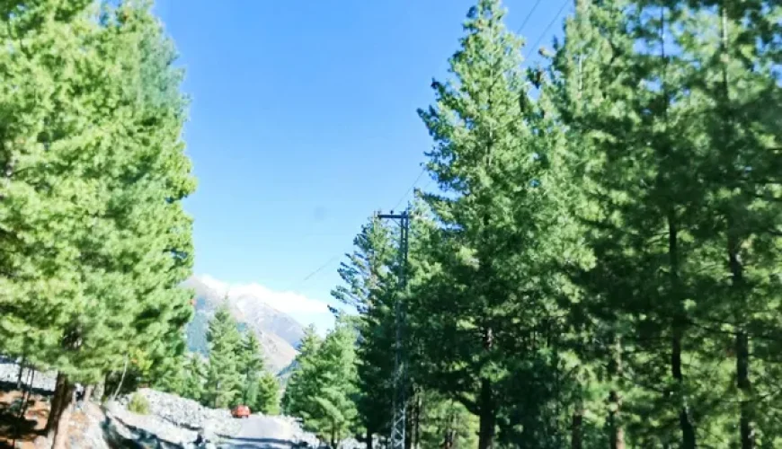 Chilim Valley Travel Guide