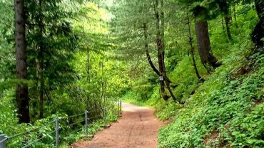 Hiking in Ayubia’s forests